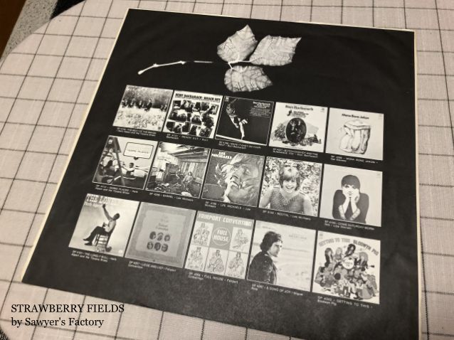 20191005-10.jpg